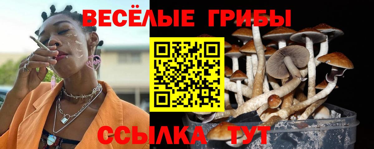 Псилоцибиновые грибы мухоморы Кинель
